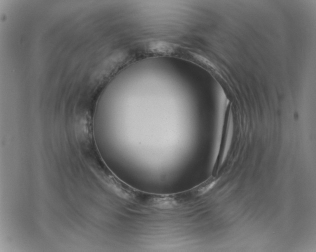 X0000071820424200607141640