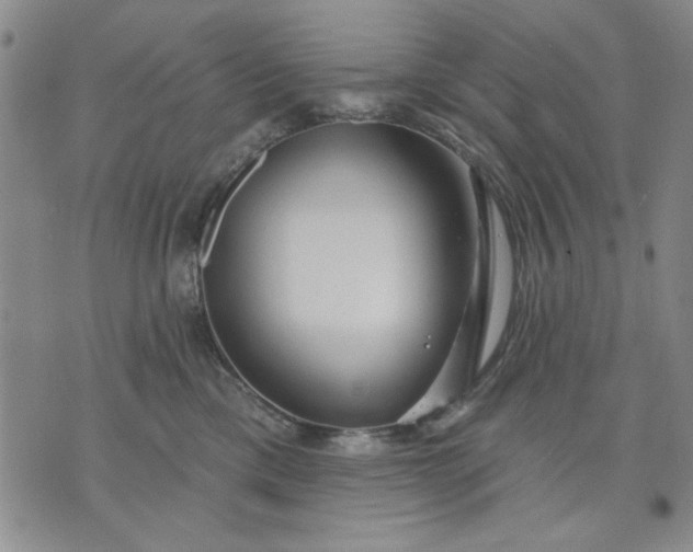 X0000071820425200607141640