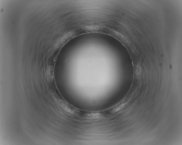 X0000071820428200607141640