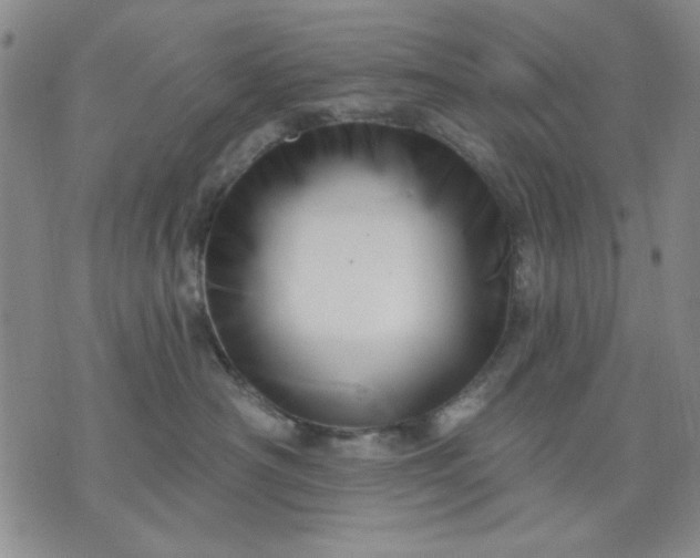 X0000071820430200607141640