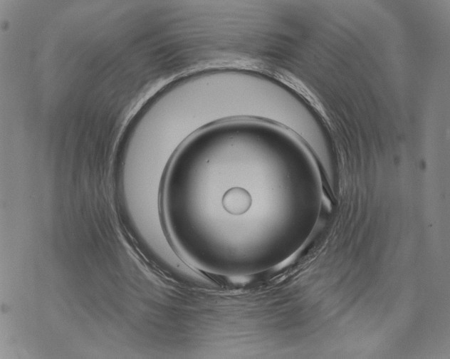 X0000071820436200607141639