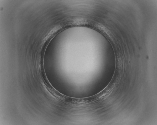 X0000071820443200607141639