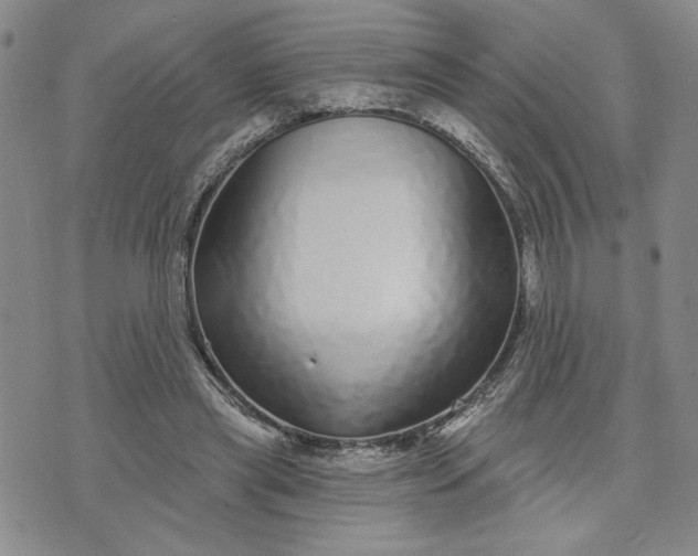 X0000071820445200607141639