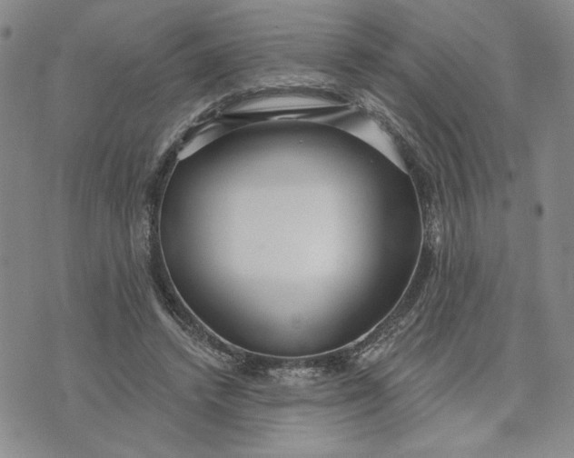 X0000071820448200607141639