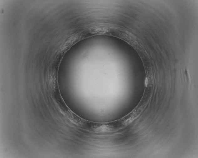 X0000071820460200607141639