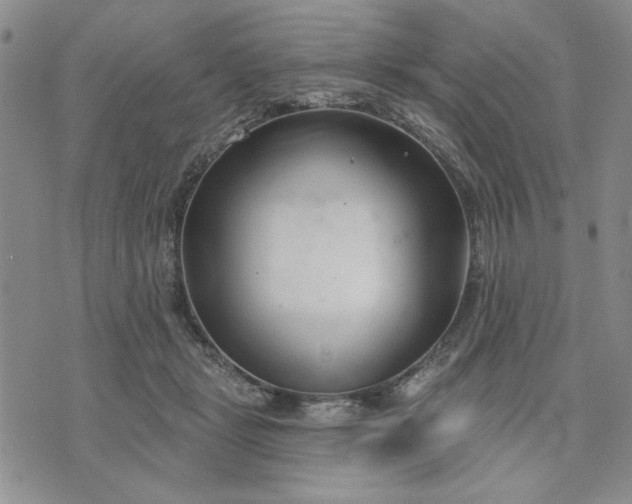 X0000071820461200607141639