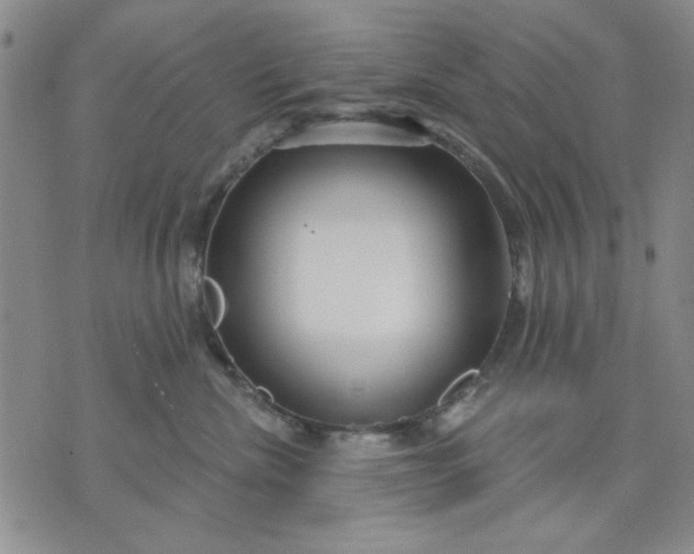 X0000071820476200607141640