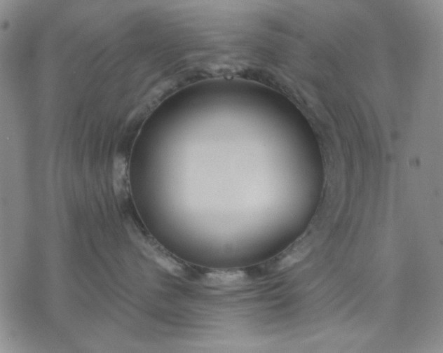 X0000071820480200607141640