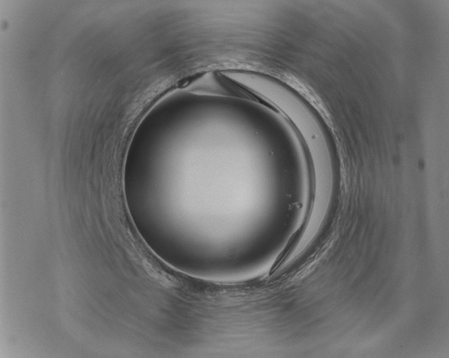 X0000071820481200607141639