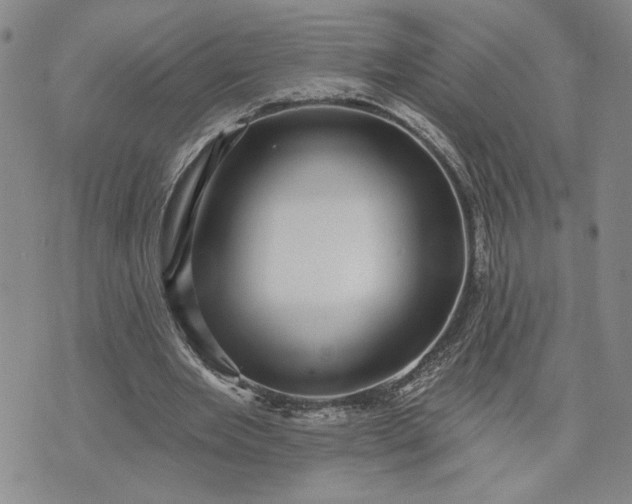 X0000071820485200607141639