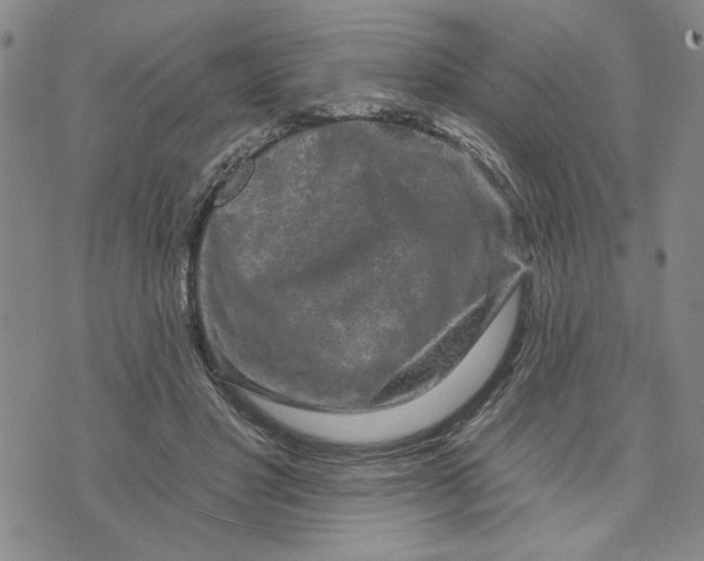 X0000071820501200607141639