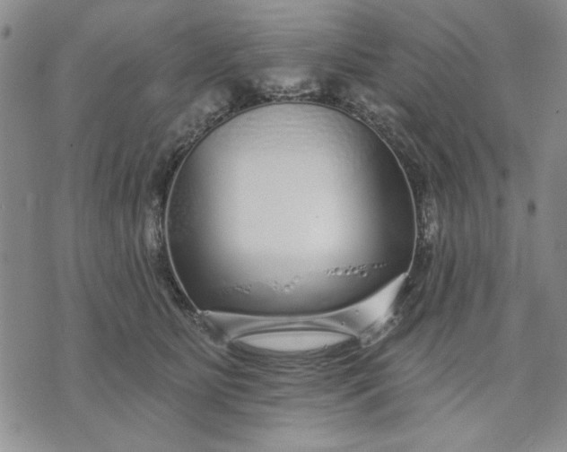 X0000071820515200607141638
