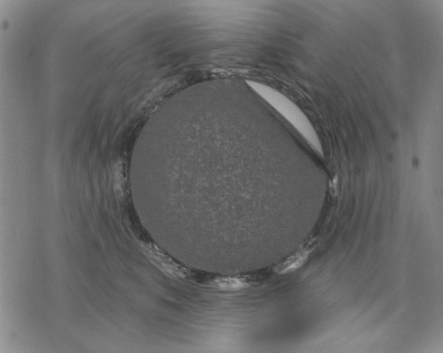 X0000071820519200607141638