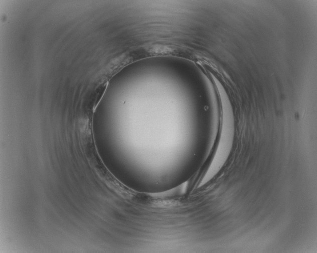 X0000071820521200607141638