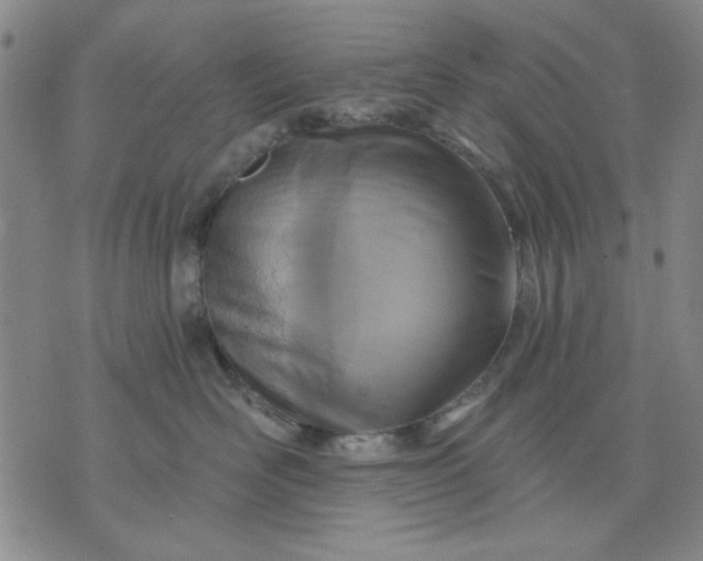 X0000071820526200607141638