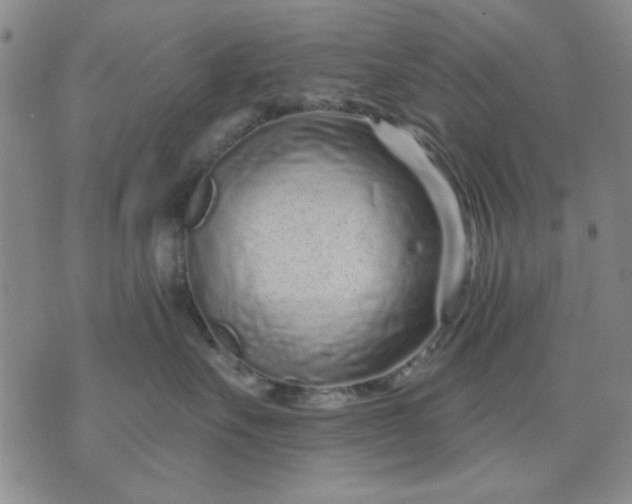 X0000071820527200607141638