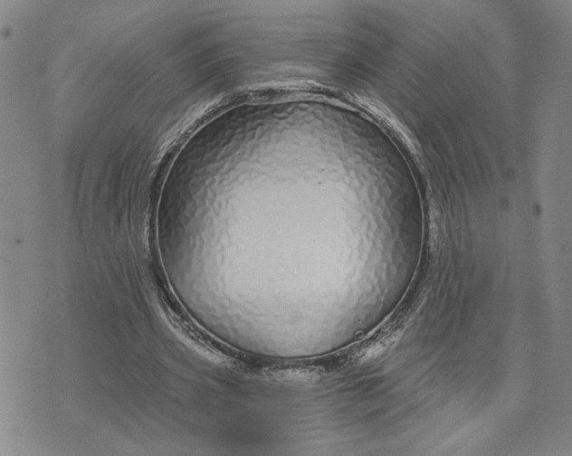 X0000071820533200607141638