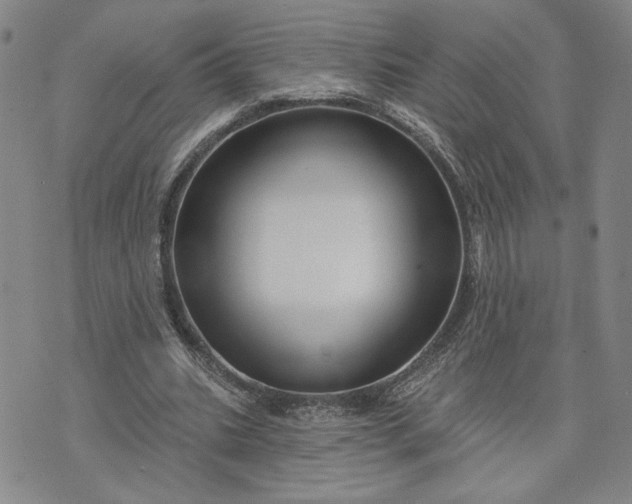X0000071820535200607141638