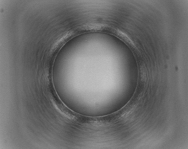 X0000071820538200607141638