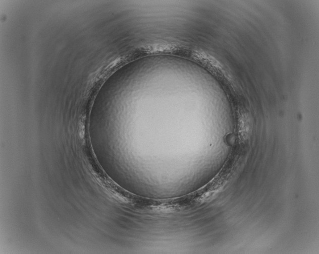 X0000071820545200607141638