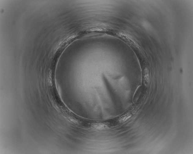X0000071820547200607141638