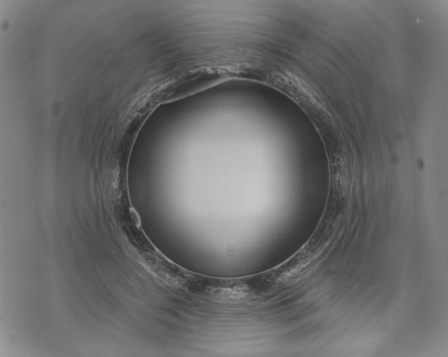 X0000071820548200607141638