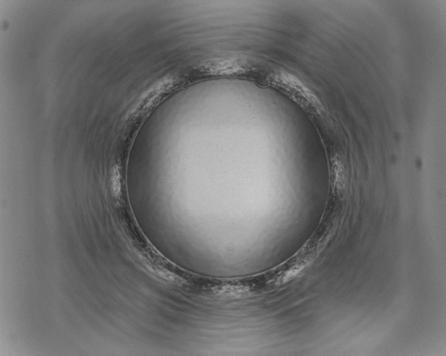 X0000071820549200607141638