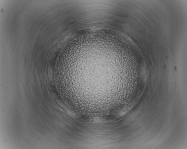 X0000071820565200607141638