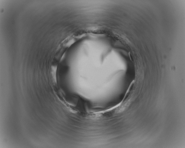 X0000071820576200607141638
