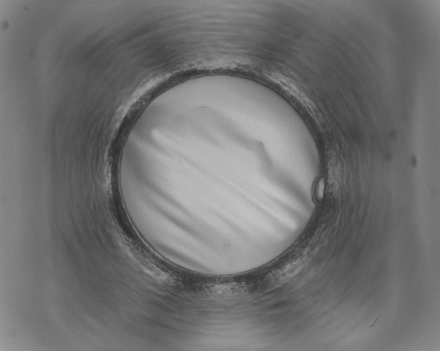 X0000071820584200607141637
