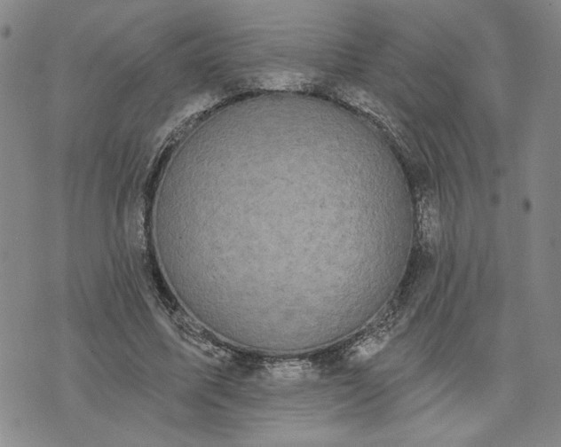 X0000071820587200607141637