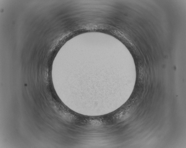 X0000071820592200607141637