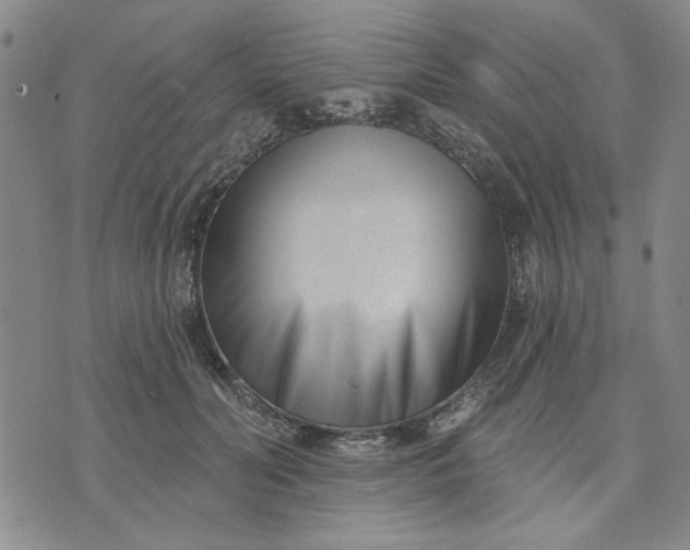 X0000071820606200607141637