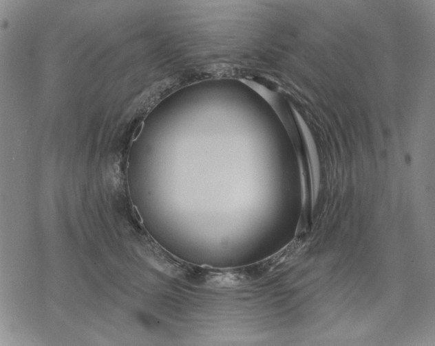X0000071820611200607141637