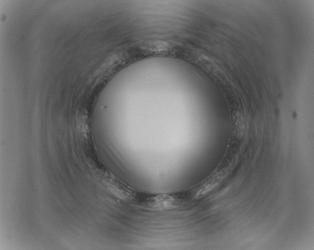 X0000071820612200607141637