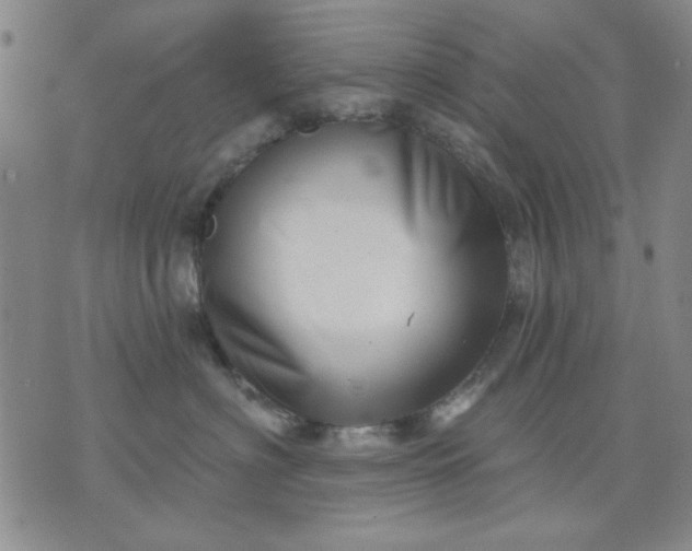 X0000071820622200607141637