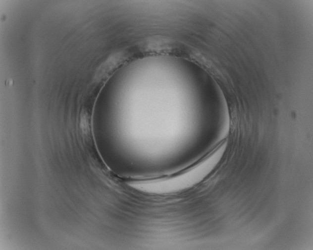 X0000071820623200607141637
