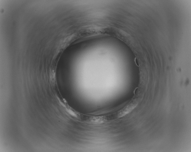 X0000071820624200607141637
