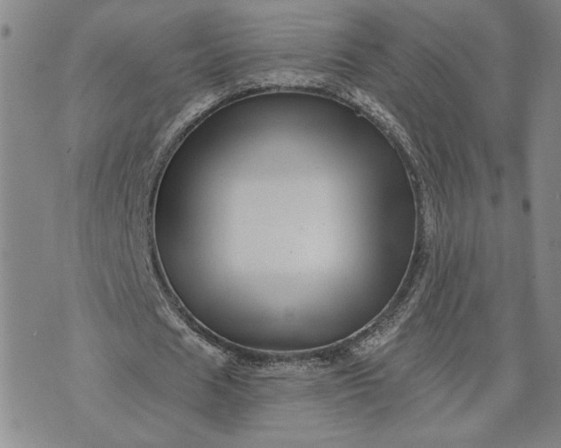 X0000071820625200607141636