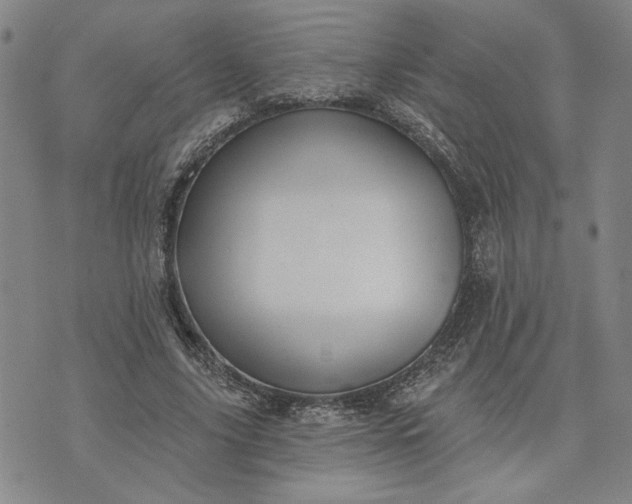 X0000071820635200607141636