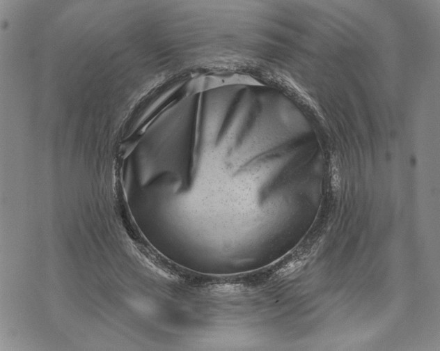 X0000071820637200607141636