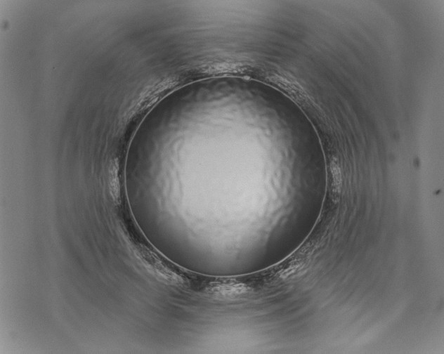 X0000071820642200607141636