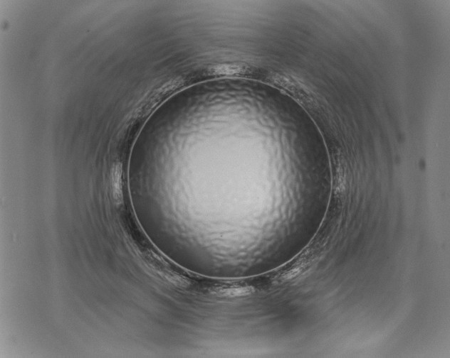 X0000071820646200607141636