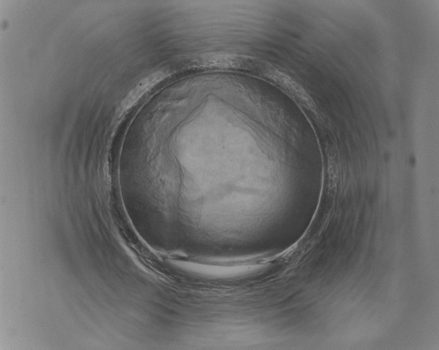 X0000071820674200607141636
