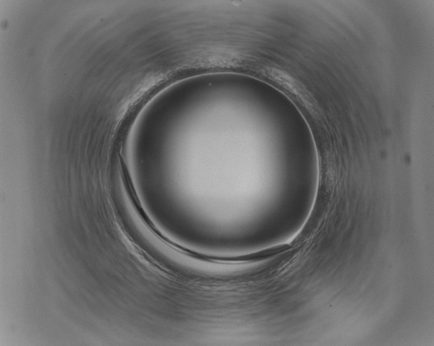 X0000071820677200607141636