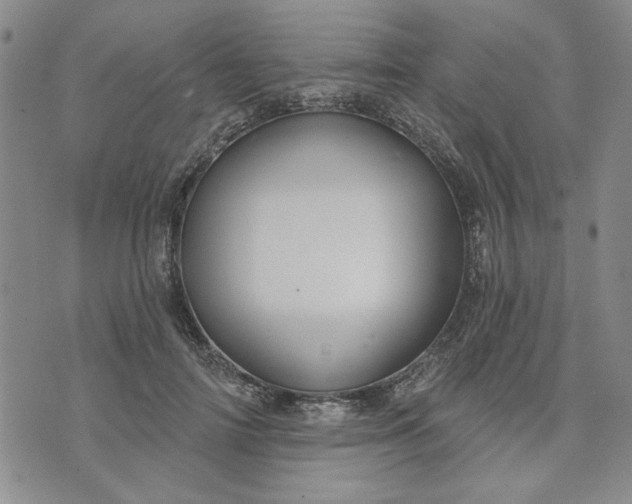 X0000071820698200607141636