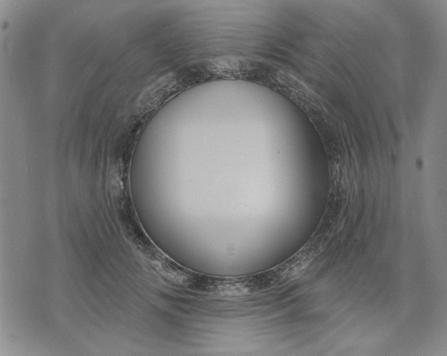 X0000071820702200607141635