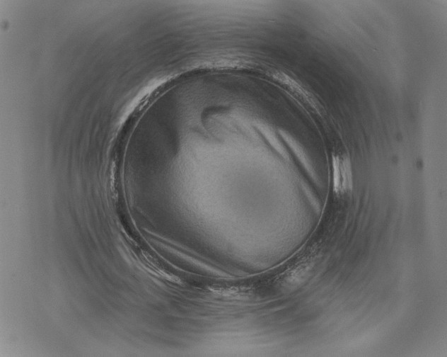 X0000071820723200607141634