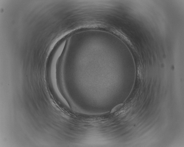X0000071820724200607141634