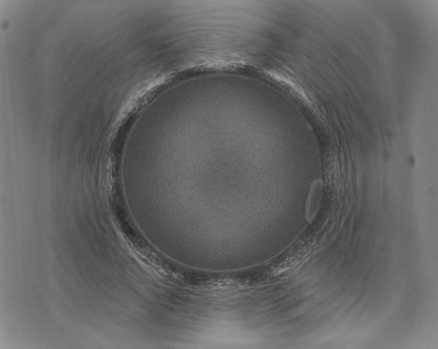X0000071820736200607141635